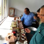 Indian tea tasters evaluating chinese tea.