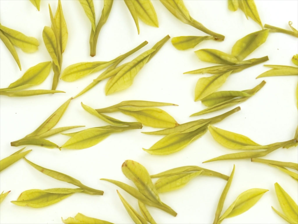 Anji Bai Cha tea leaves with a pale color